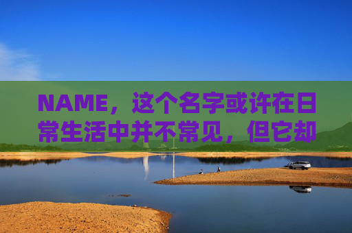 NAME，这个名字或许在日常生活中并不常见，但它却在某些领域里扮演着重要的角色。今天，让我们一起来探索这个名字背后的故事和意义